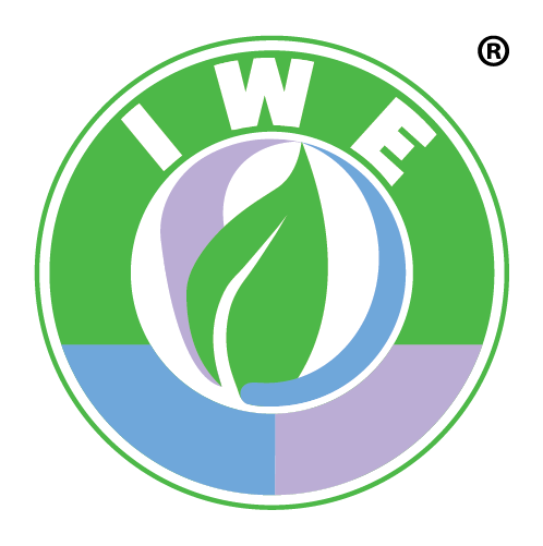 IWE Logo
